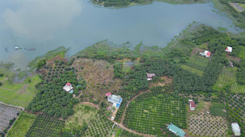 Bán gấp 1101m2 vườn gần hồ trị an, đồng nai. đất đồi, view hồ rất đẹp. bề ngang 20m, đường xe hơi