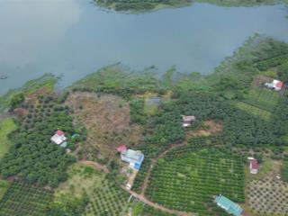 Bán gấp 1101m2 vườn gần hồ trị an, đồng nai. đất đồi, view hồ rất đẹp. bề ngang 20m, đường xe hơi