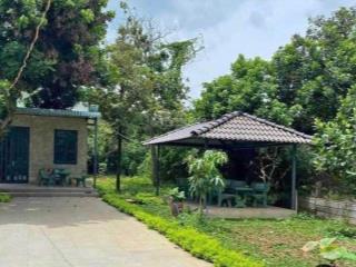 Bán gấp 1101m2 vườn gần hồ trị an, đồng nai. đất đồi, view hồ rất đẹp. bề ngang 20m, đường xe hơi