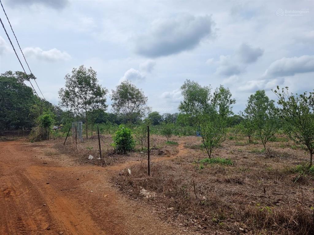 Bán 4000m² đất vườn gần hồ trị an cách ql20 chỉ 500m.giá 220 tr/sào. giấy tờ đầy đủ