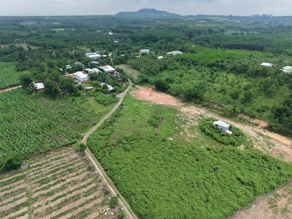 Bán 4000m² đất vườn gần hồ trị an cách ql20 chỉ 500m.giá 220 tr/sào. giấy tờ đầy đủ