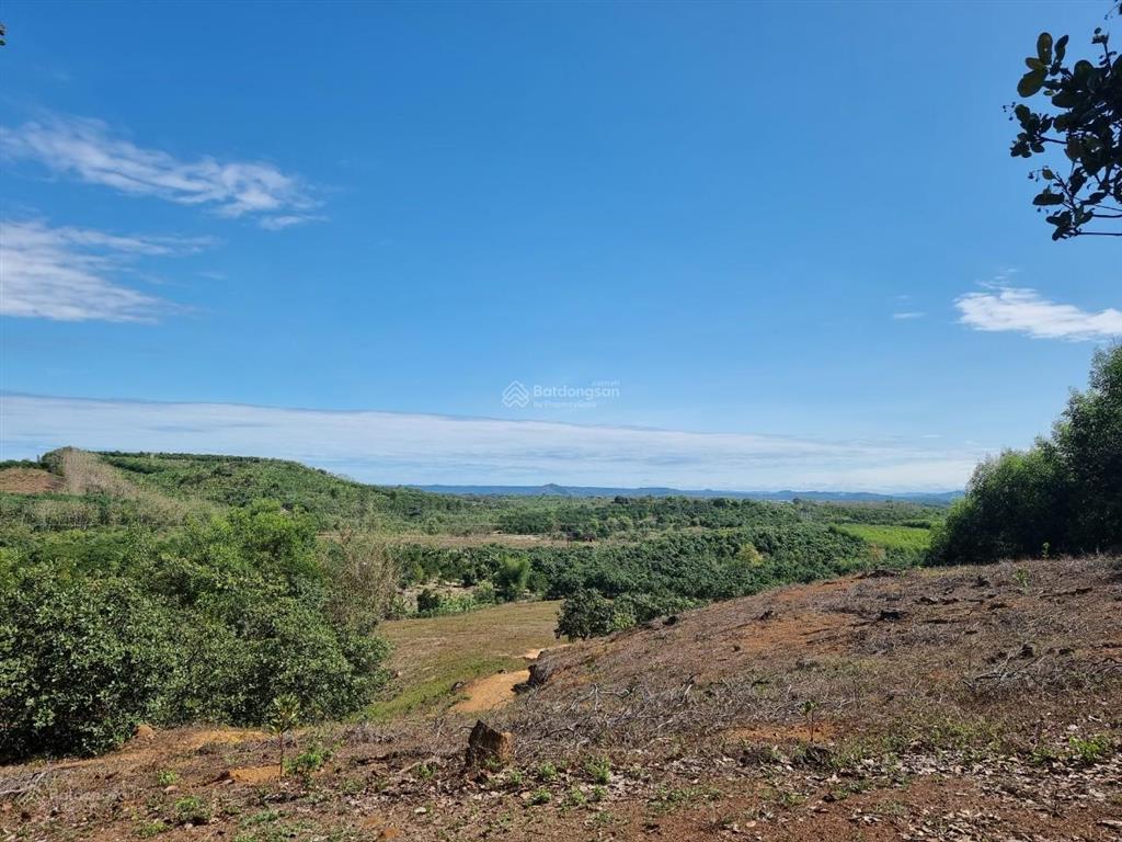 Bán 4000m² đất vườn gần hồ trị an cách ql20 chỉ 500m.giá 220 tr/sào. giấy tờ đầy đủ