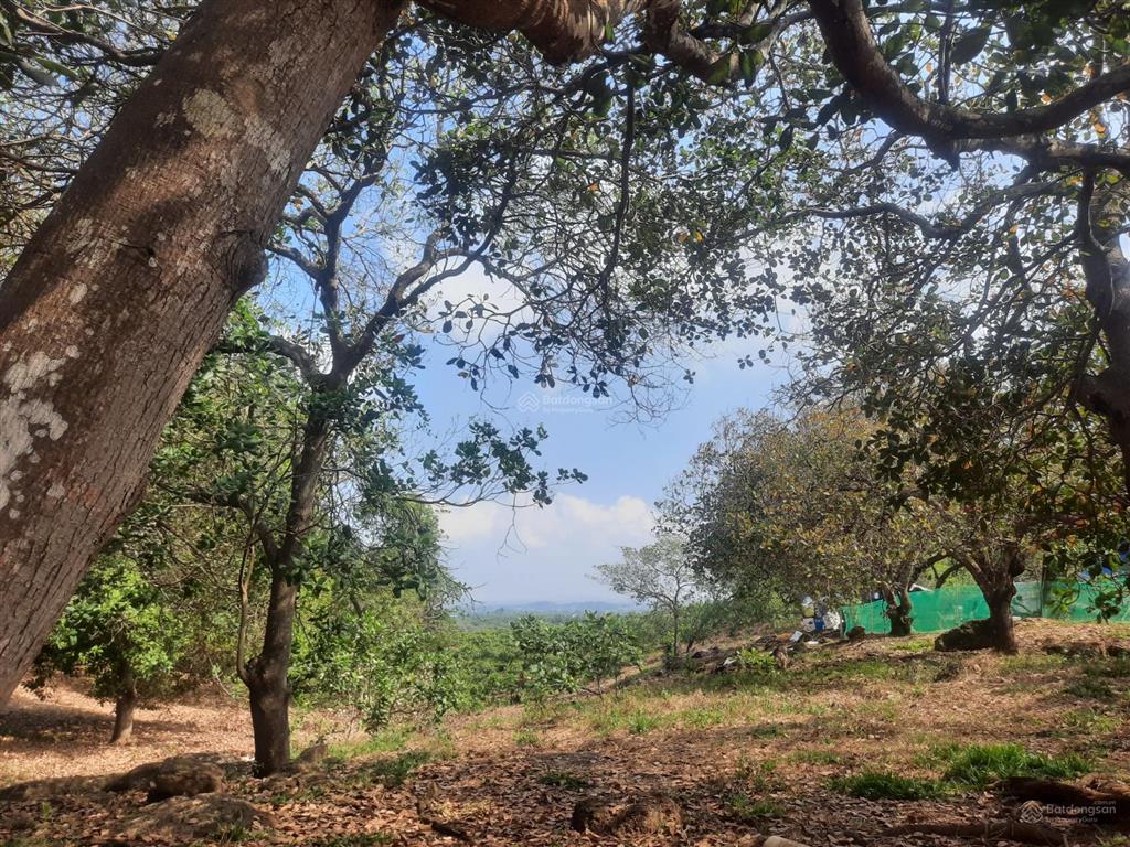 Bán 4000m² đất vườn gần hồ trị an cách ql20 chỉ 500m.giá 220 tr/sào. giấy tờ đầy đủ