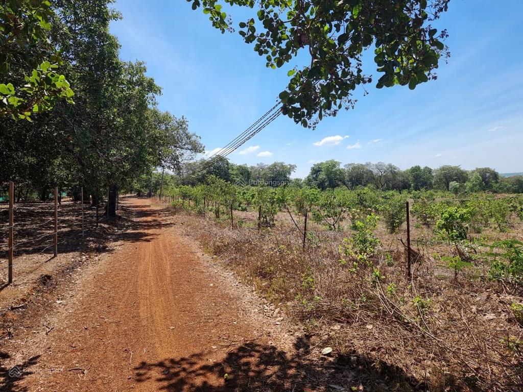 Bán 4000m² đất vườn gần hồ trị an cách ql20 chỉ 500m.giá 220 tr/sào. giấy tờ đầy đủ