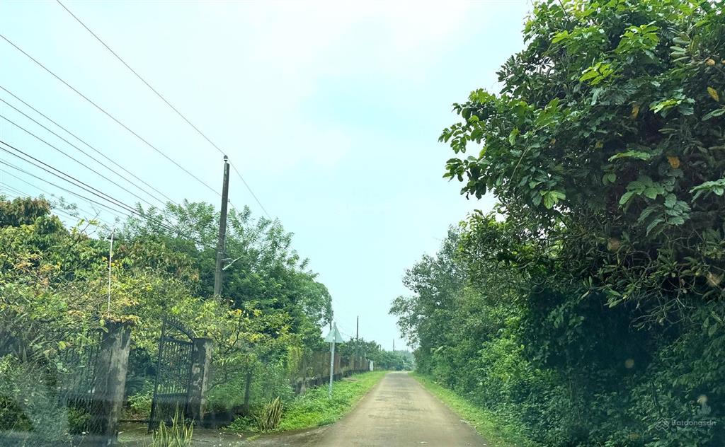 Đất thổ cư 260 m² , đường bê tông, gần ngã tư dầu giây, hướng về sân bay long thành. giá 750 triệu