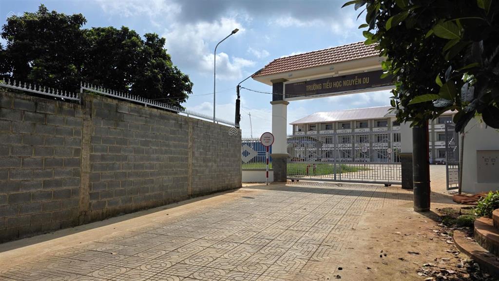 161m2 đất tc mặt tiền đường nhựa, kế bên trường học, gần ngã tư dầu giây, thuận tiện kinh doanh