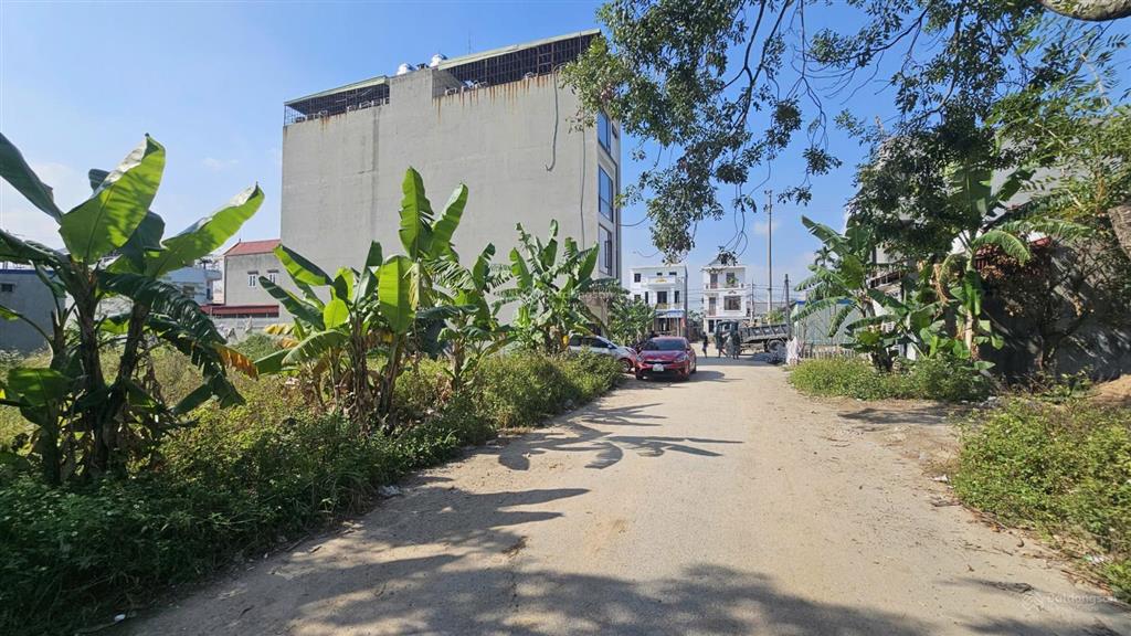 Bán đất 100m2 chung cư huê, hoa động, thuỷ nguyên  ngay cạnh dự án doji emerald symphony