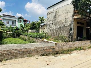 Cần bán gấp giá cực hợp lý vị trí 96m2 lương quy, xã xuân nộn, huyện đông anh