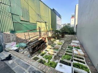 Lô đất đáng mua nhất vân nội, đông anh thời điểm này đẹp từ vị trí tới pháp lý!