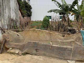 Chính chủ bán lô đất liền kề full thổ nở hậu siêu đẹp ở tân xã  thạch thất. ô tô đỗ trong đất