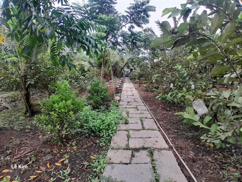 Chuyển nhượng lô đất siêu đẹp 3 mặt tiền 6400m2 thích hợp phân lô hoặc làm xưởng gần cầu rạch tra