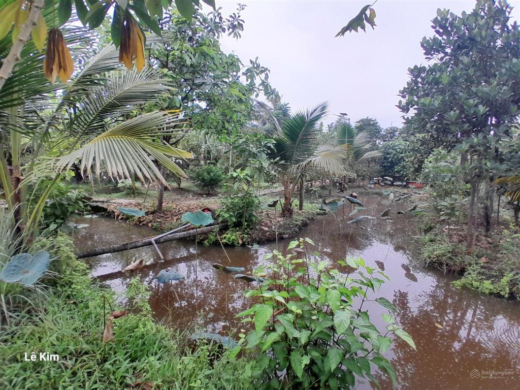 Chuyển nhượng lô đất siêu đẹp 3 mặt tiền 6400m2 thích hợp phân lô hoặc làm xưởng gần cầu rạch tra