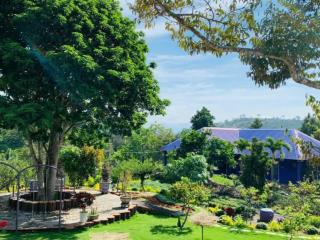 Chính chủ ngộp bank bán gấp lô đất nghỉ dưỡng lộc thành view siêu phẩm