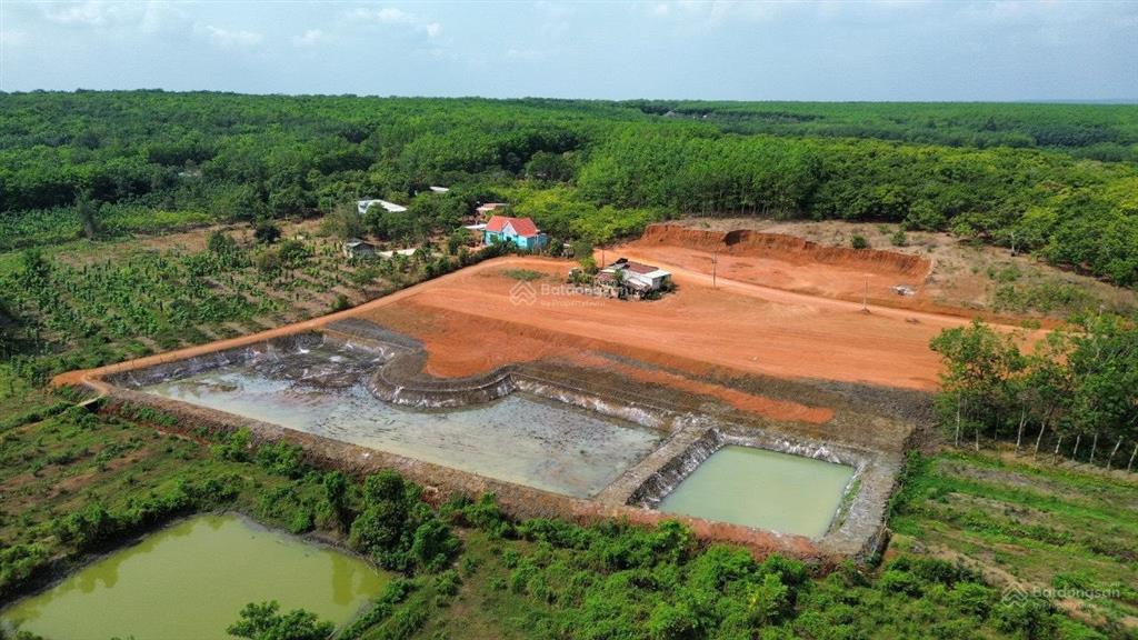 Bán đất 237m2 giá chỉ 250 triệu tại bình thắng, bù gia mập, bình phước