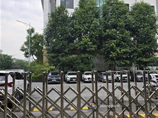 Bán bt xuất sắc trần quang diệu, ô chợ dừa, đống đa, hà nội chỉ 32 tỷ