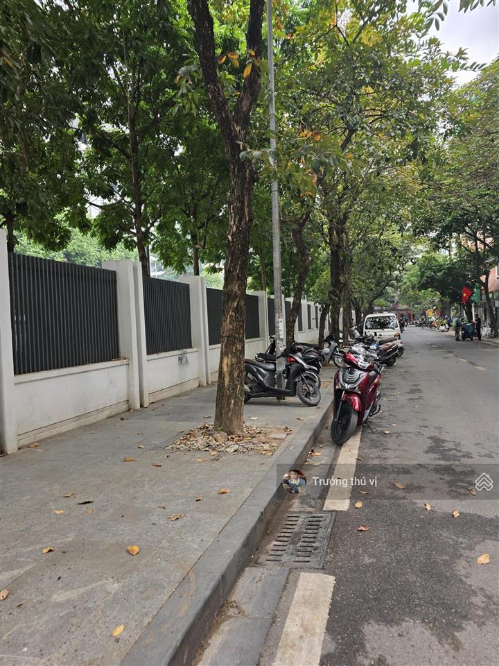 Bán bt xuất sắc trần quang diệu, ô chợ dừa, đống đa, hà nội chỉ 32 tỷ