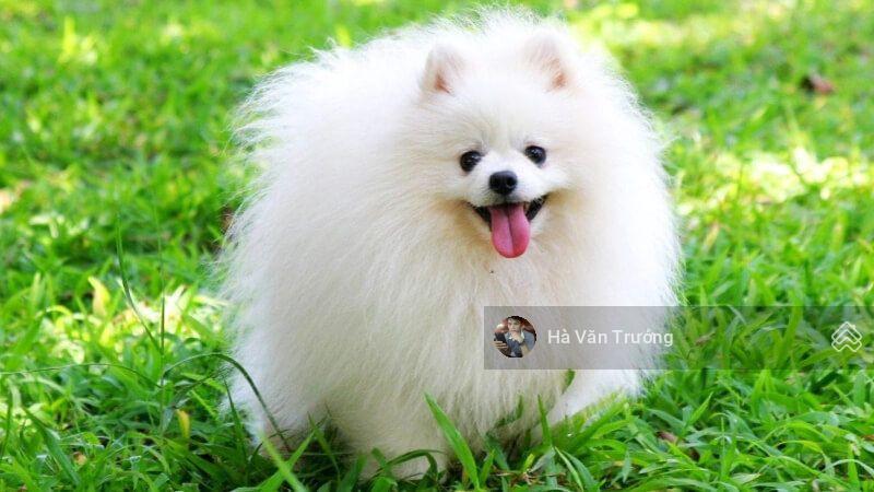 Chính chủ cần bán nhà phố hoàng cầu đống đa, 2 ô tô vào nhà giá chỉ 46 tỷ