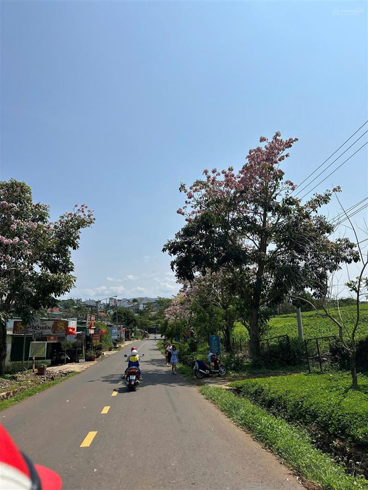 Bán đất hiếm tại phường 2, bảo lộc, bán gấp