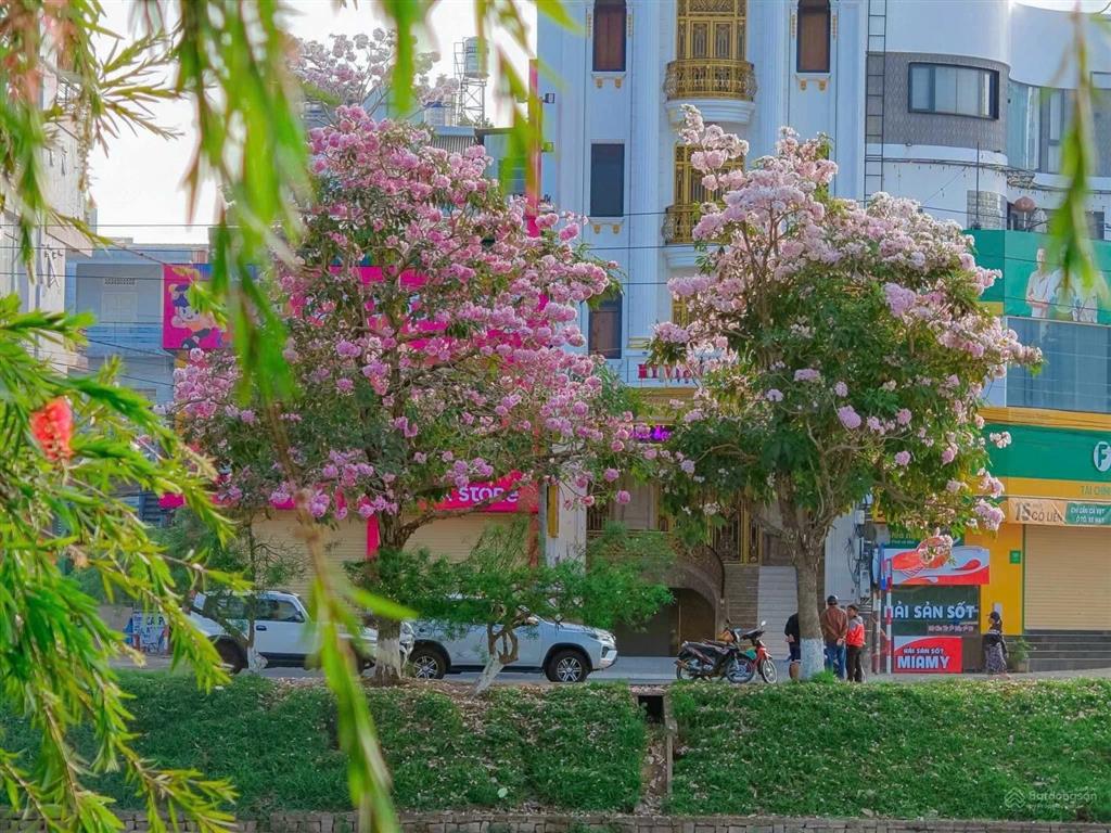 Bán đất hiếm tại phường 2, bảo lộc, bán gấp