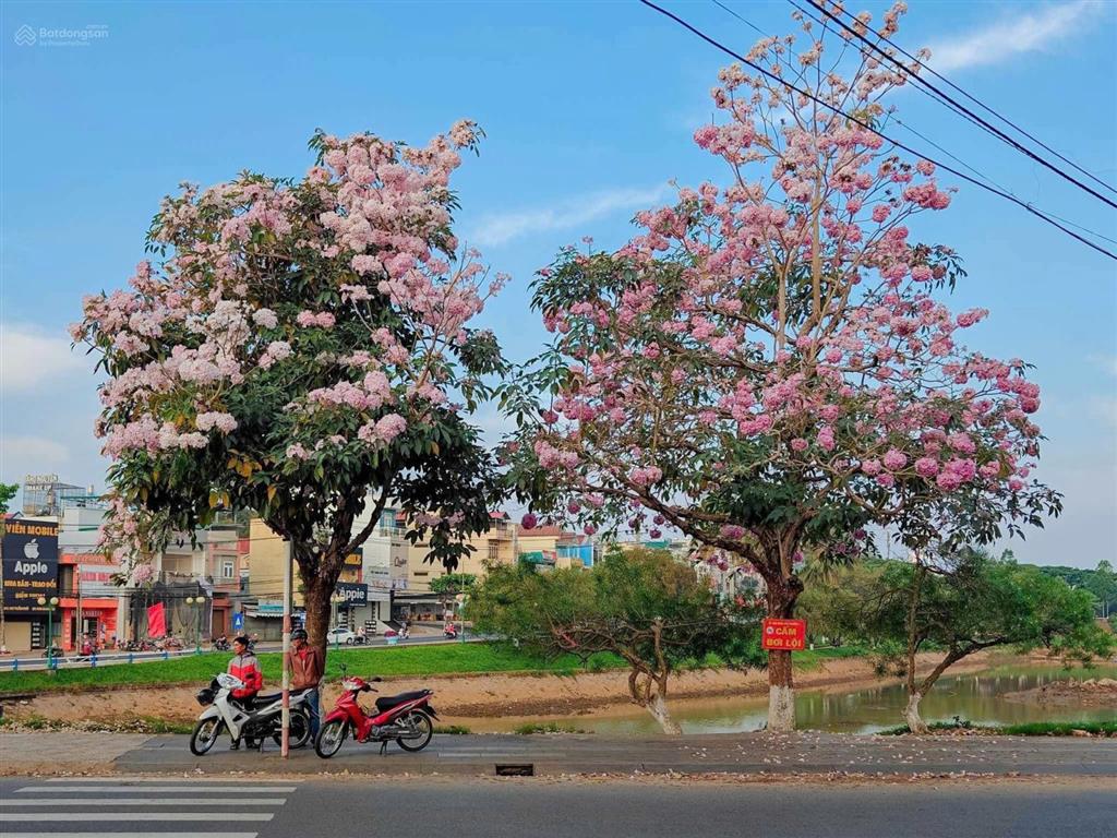 Bán đất hiếm tại phường 2, bảo lộc, bán gấp