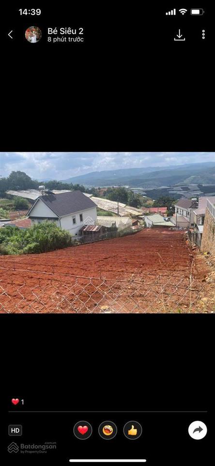 Bán lô đất đà lạt chính chủ 1000m2, có nhà màn sẵn đang trống hoa