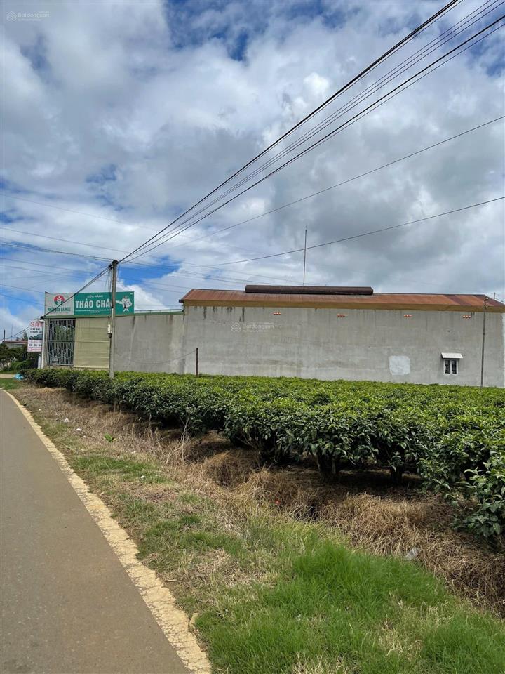 Bán mảnh huỳnh thúc kháng, gần công an thành phố 500m2