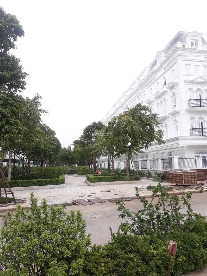 Bán liền kề louis mặt đường lớn giá tốt,  0979 008 ***