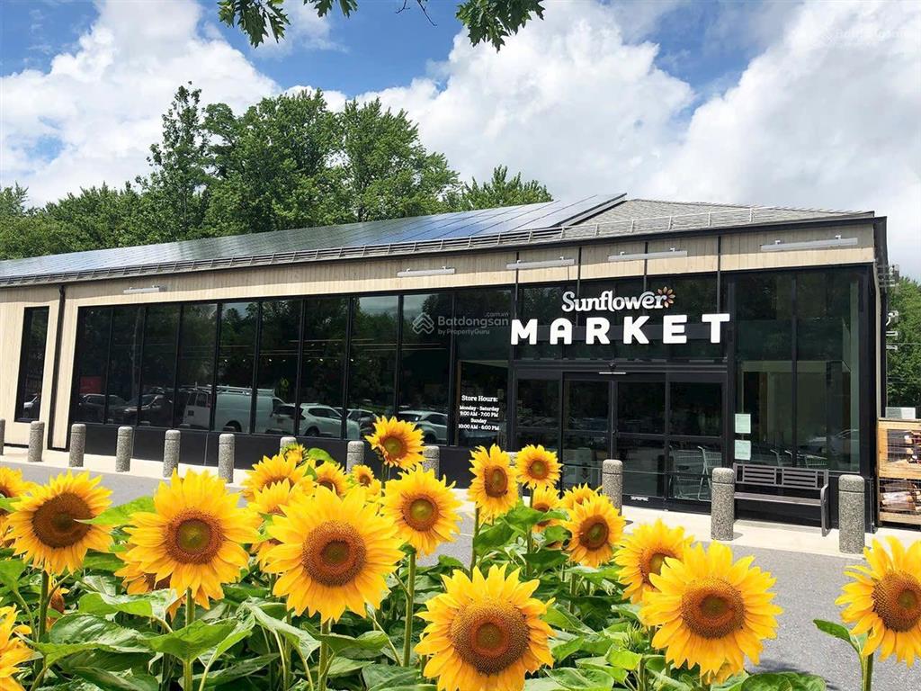 Nhận mua bán đất nền dự án sunflower city  hud xã phước an, huyện nhơn trạch, đồng nai, giá tốt