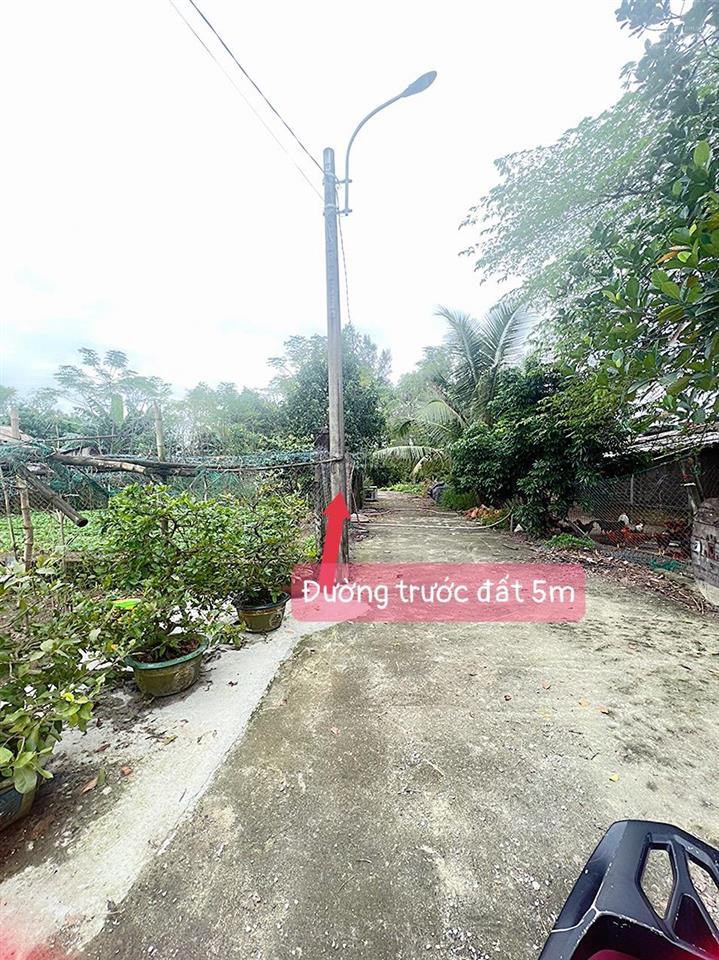 Tân hạnh hoà phước củ hoà xuân mới 200m ngang 12m thích hợp làm 2 cái nhà