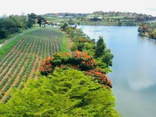Bán lô đất kế bên resort 85ha của tâm châu, lộc tân, thành phố bảo lộc thích hợp kinh doanh.