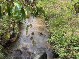 Bán lô đất vườn mơ xã xuân trường thành phố đà lạt