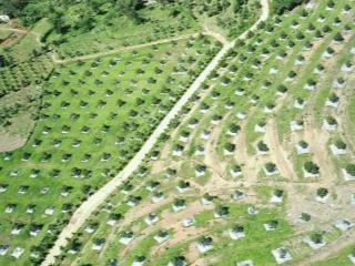 Bán biệt thự vườn mặt tiền 10 m² xã lộc ngãi gần hồ dak long thường