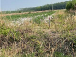 Cần bán đất và nhà tại điện biên phủ ( đường 18 cũ ), kp lạc thuận, lạc tánh, tánh linh, bình thuận