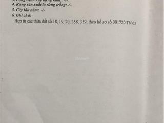 Bán lô đất 5500 m2 mặt tiền rừng sác chính chủ, cách ngã ba bà xá 600m