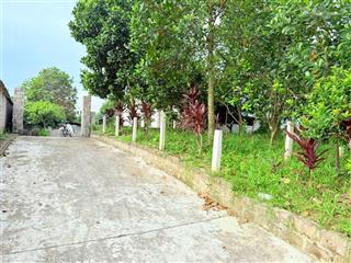 1240m2 sẵn nhà cấp 4 và vườn cây ăn quả view siêu đẹp tại thanh sơn lương sơn, hoà bình cũ