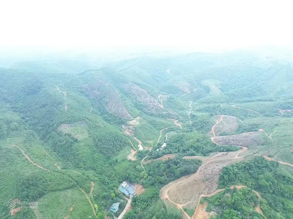 Cần chuyển nhượng 230ha tại thanh sơn, phú thọ, gần đường cao tốc hoà bình mộc châu