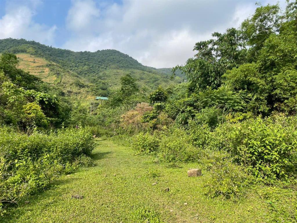 Cần chuyển nhượng 230ha tại thanh sơn, phú thọ, gần đường cao tốc hoà bình mộc châu