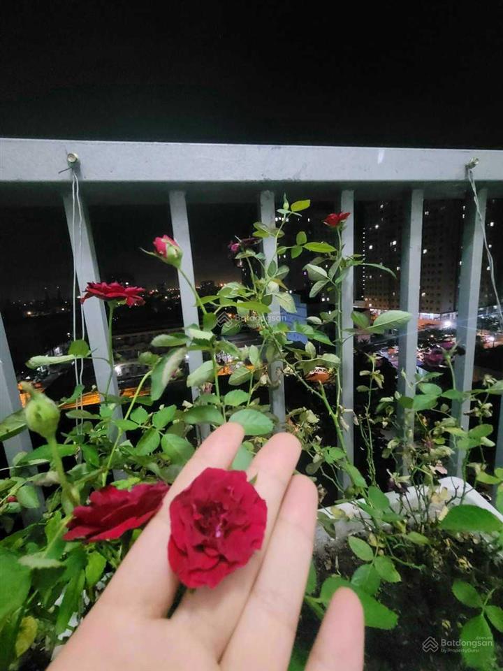 Căn hộ cho thuê 2pn 65m2 giá rẻ nhà mới sơn nội thất thiết kế phong cách châu âu cam kết chuẩn 100%