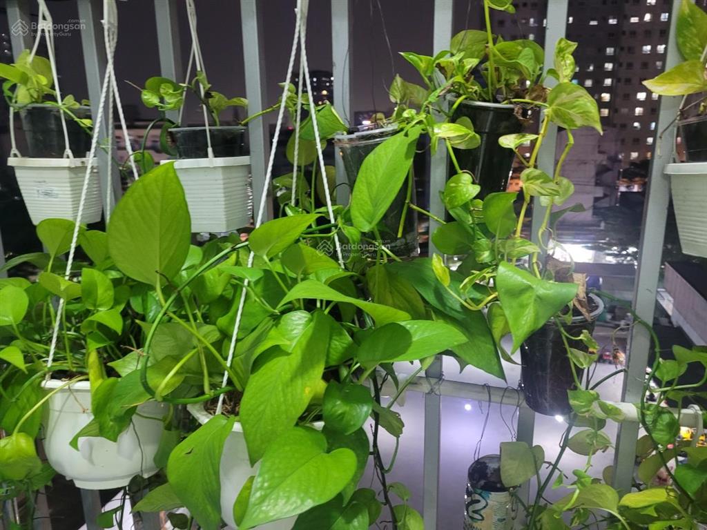 Căn hộ 2pn 65m2 nhà mới sơn chính chủ mới mua nội thất mới 100% cc prosper plaza và lân cận