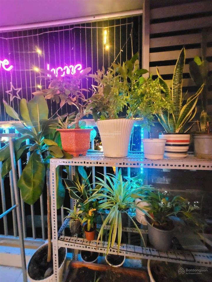 Căn hộ 2 pn, 65m2, thiết kế nội thất 100% chuẩn nội thất chất lượng sang trọng cc prosper quận 12