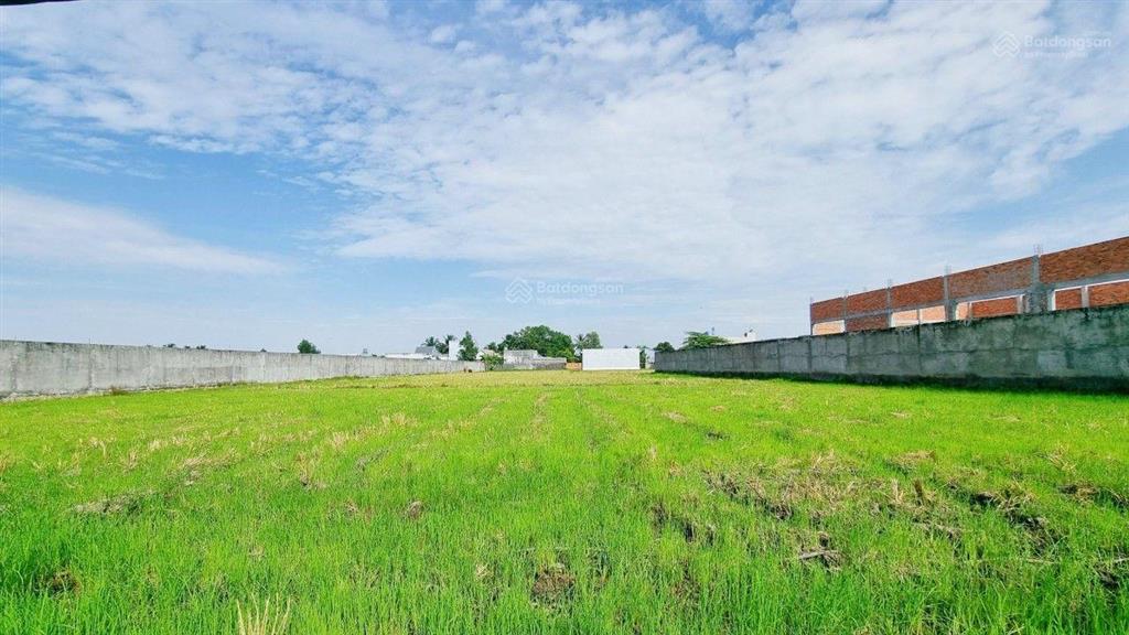 1000m2 mặt tiền đường xe container vị trí vàng giữa cụm kho xưởng tân bửu, kế bên tphcm