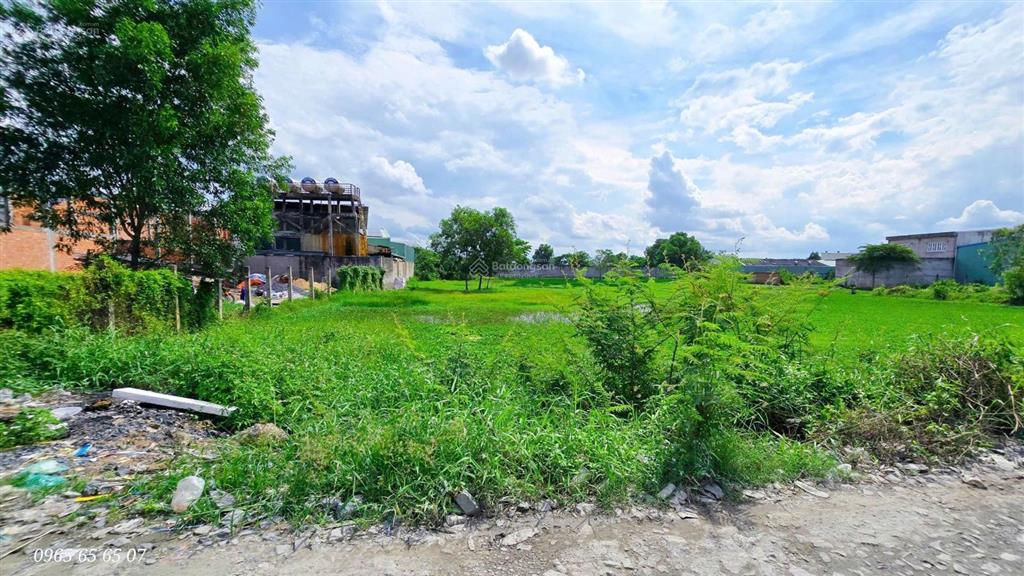 2780m2 đất cách nguyễn hữu trí chỉ 90m cho chuyển lên đất tmdv