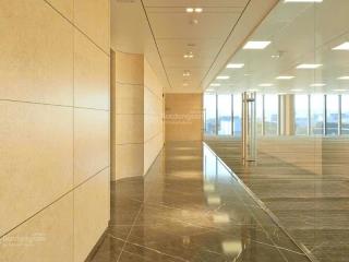 Cho thuê văn phòng cao cấp the marc 88  mới, xịn nhất cầu giấy (100 500m2 giá cực ưu đãi t10/25)