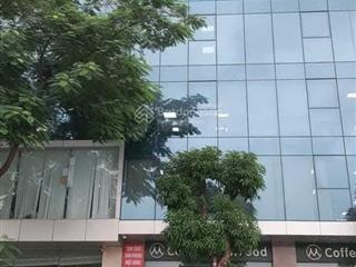 Bán tòa nhà 11 tầng mặt phố la thành, vành đai 1 450m2, mt 15m, giá 165 tỷ