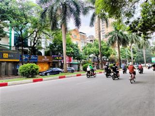 Bán biệt thự 3 tầng mặt đường nguyễn khuyến kinh doanh nhà hàng, cà phê đỉnh, chỉ 78 tỷ.