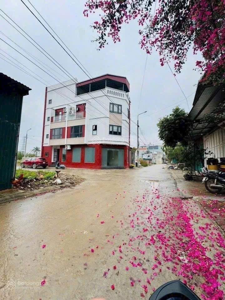 Bán đất đấu giá x2 la tinh đông la giá 137tr/m. 0983 477 ***