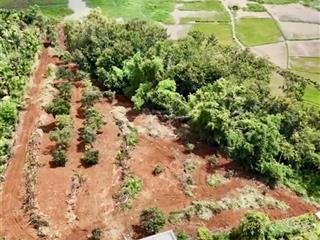 Bán đất view hồ phường tân an đăk lăk có 100m2 thổ cư