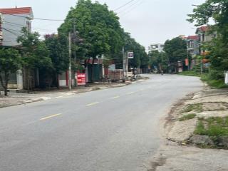 Chính chủ bán đất quang minh dt 126m2 full thổ cư, đường ô tô tránh, 2 mặt tiền kd sầm uất