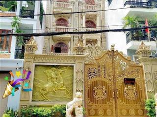 Bán biệt thự hẻm xe hơi ngay cách mạng tháng 8 phường 7, tân bình. dt 11x34m (hầm 3 lầu) giá 66 tỷ