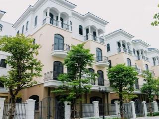 Tứ lập 120m2 cọ xanh 2 đầu là vườn hoa vinhomes ocean park  16,5 tỷ